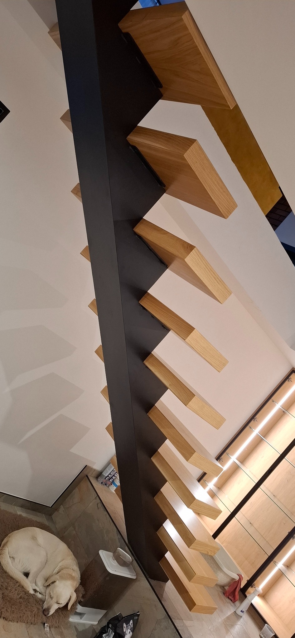 Nowoczesne schody wspornikowe z drewnianymi stopniami i czarną konstrukcją nośną, widok z dołu, z psem leżącym obok. Minimalistyczny design.