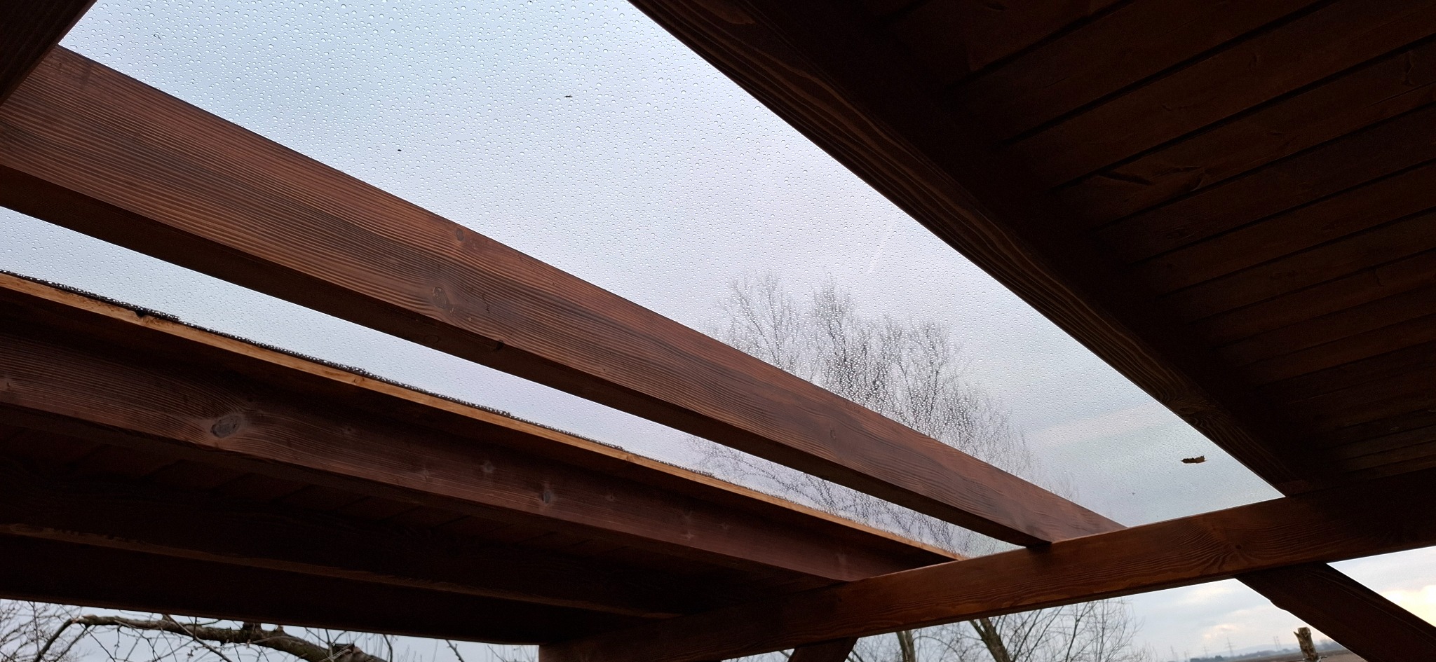 Drewniana pergola z przezroczystym zadaszeniem, widok z dołu na krople deszczu na szkle i drzewa w tle. Ciemne drewno konstrukcji kontrastuje z szarym niebem.