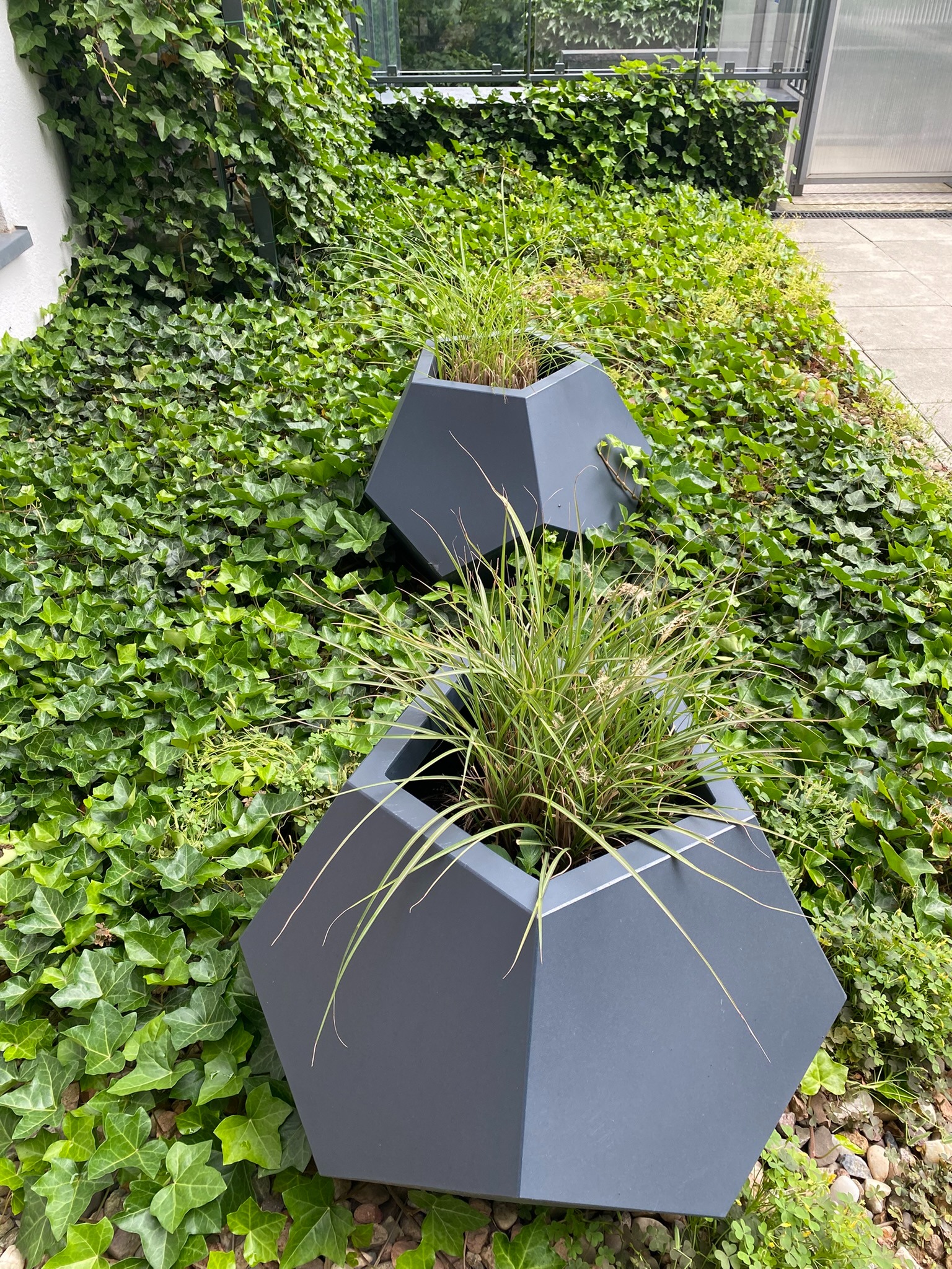 Dwie nowoczesne, grafitowe donice wielokątne z trawami ozdobnymi na tle ściany porośniętej bluszczem. Donice ustawione na żwirowym podłożu.