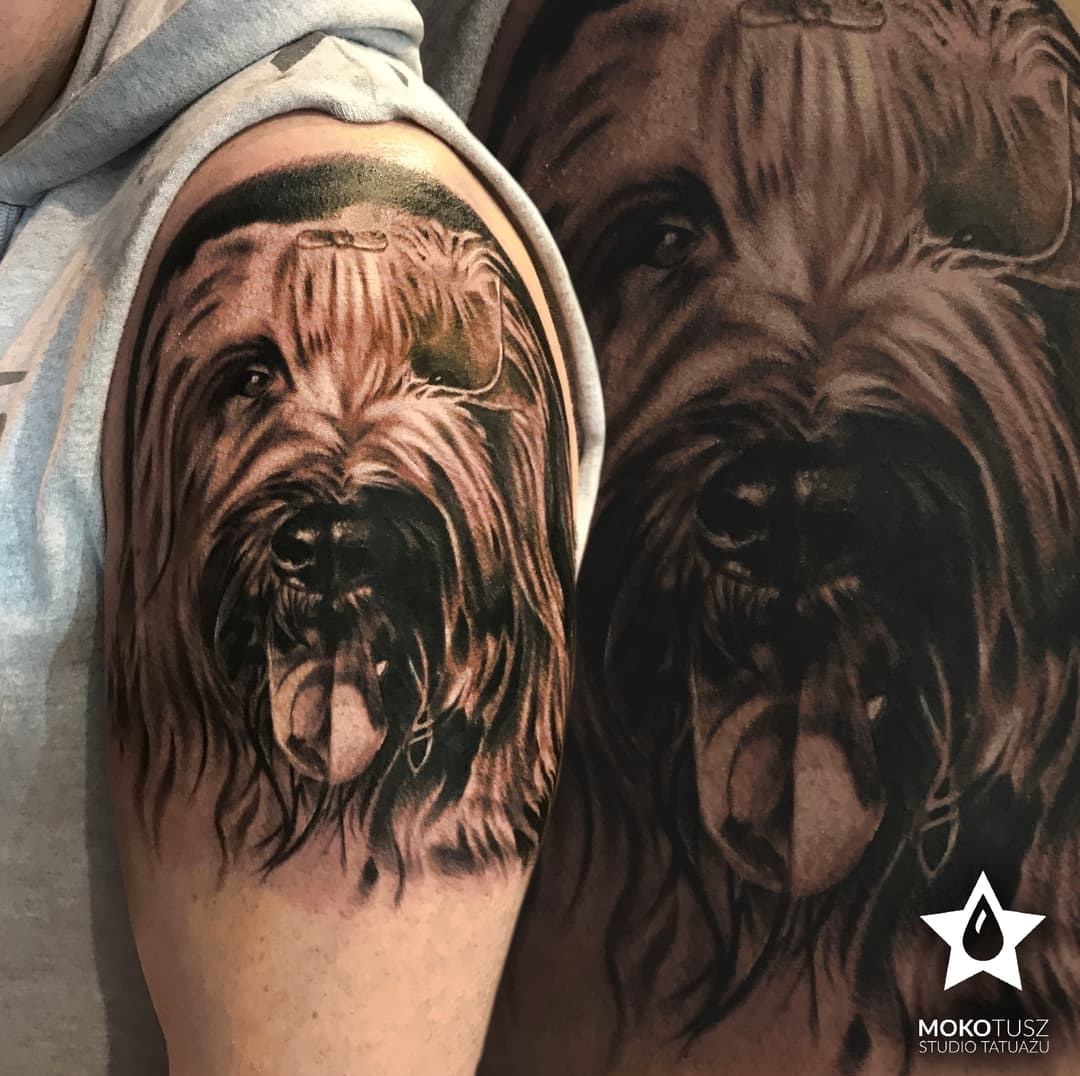 Portret realistyczny psa na ramieniu