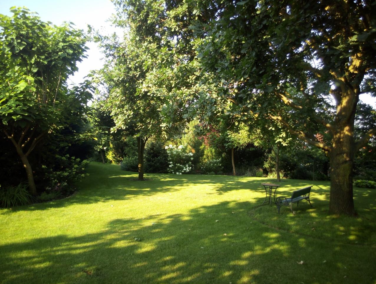 Zadbany ogród z równo przystrzyżonym trawnikiem, drzewami dającymi cień i miejscem do wypoczynku z ławką i stolikiem. Widoczne krzewy i kwiaty w tle.
