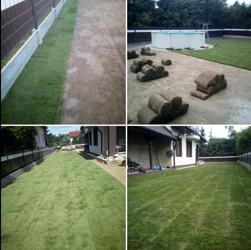 Czteropanelowe ujęcie: etapy układania trawy z rolki, od przygotowania podłoża po gotowy trawnik z basenem w tle. Widoczne rolki trawy i narzędzia.