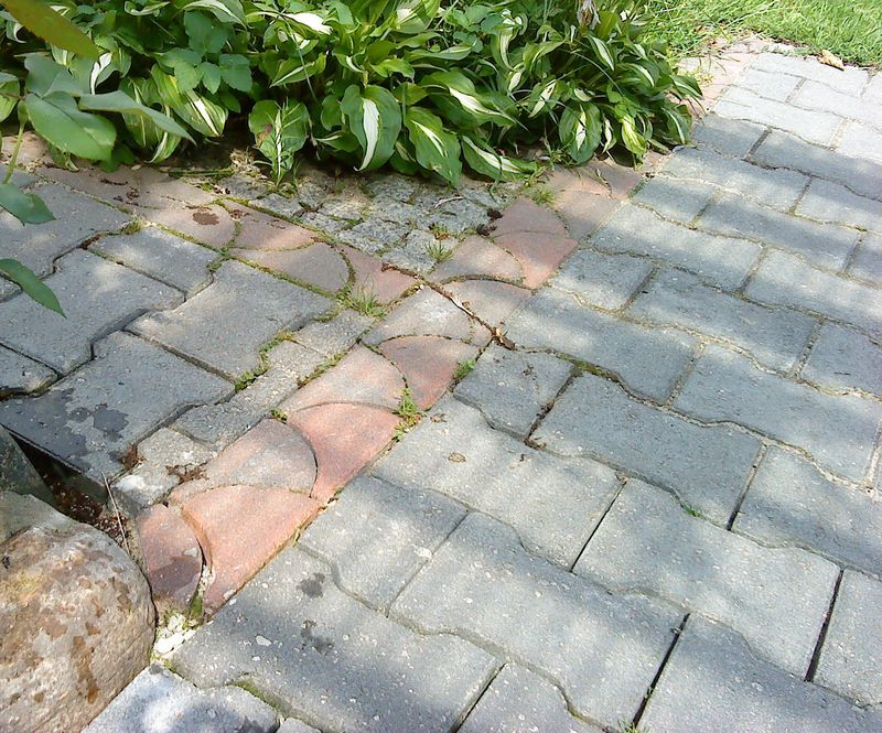 Szara kostka brukowa ułożona na ścieżce z elementami czerwonej kostki w kształcie łuku, z widocznymi chwastami wyrastającymi spomiędzy szczelin i roślinnością w tle.