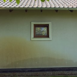 Bartek Walczewski - Idealne Mycie Dachów Leszno