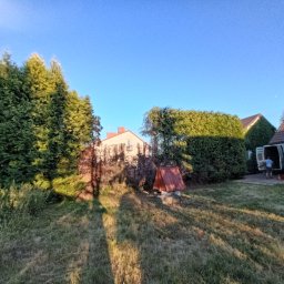 Wycinka drzew Iwanowice Włościańskie 3