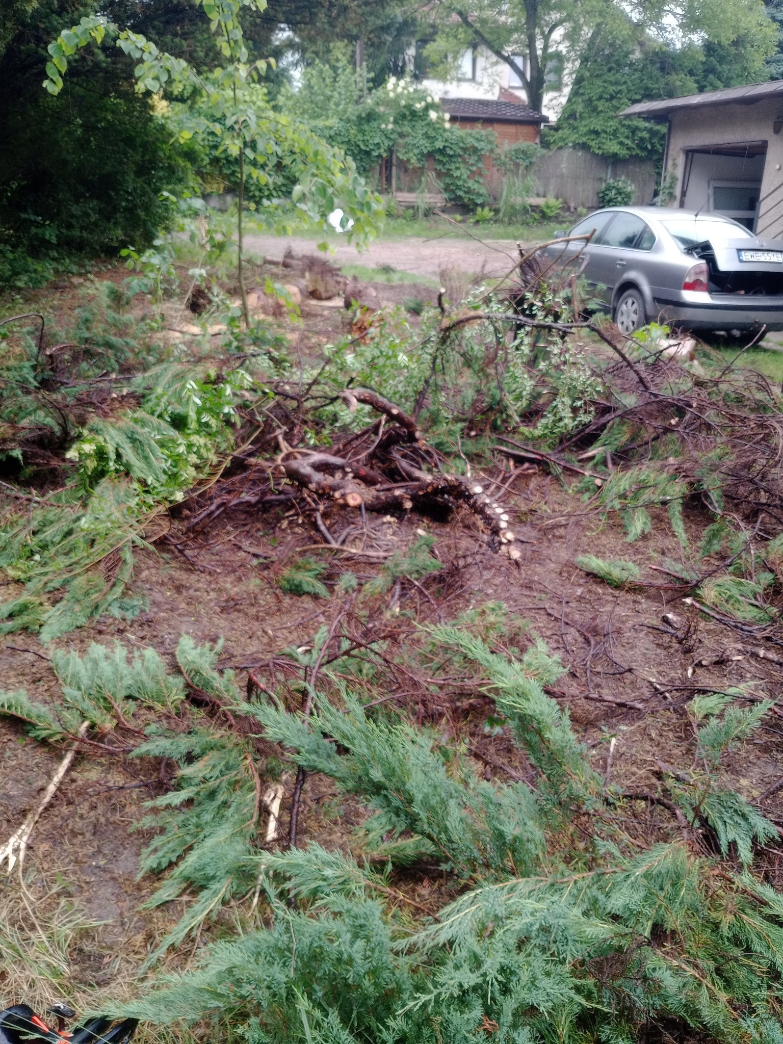 Świeżo ścięte gałęzie i fragmenty pni drzew leżące na ziemi w ogrodzie, po wycince. W tle widoczny samochód i budynek.