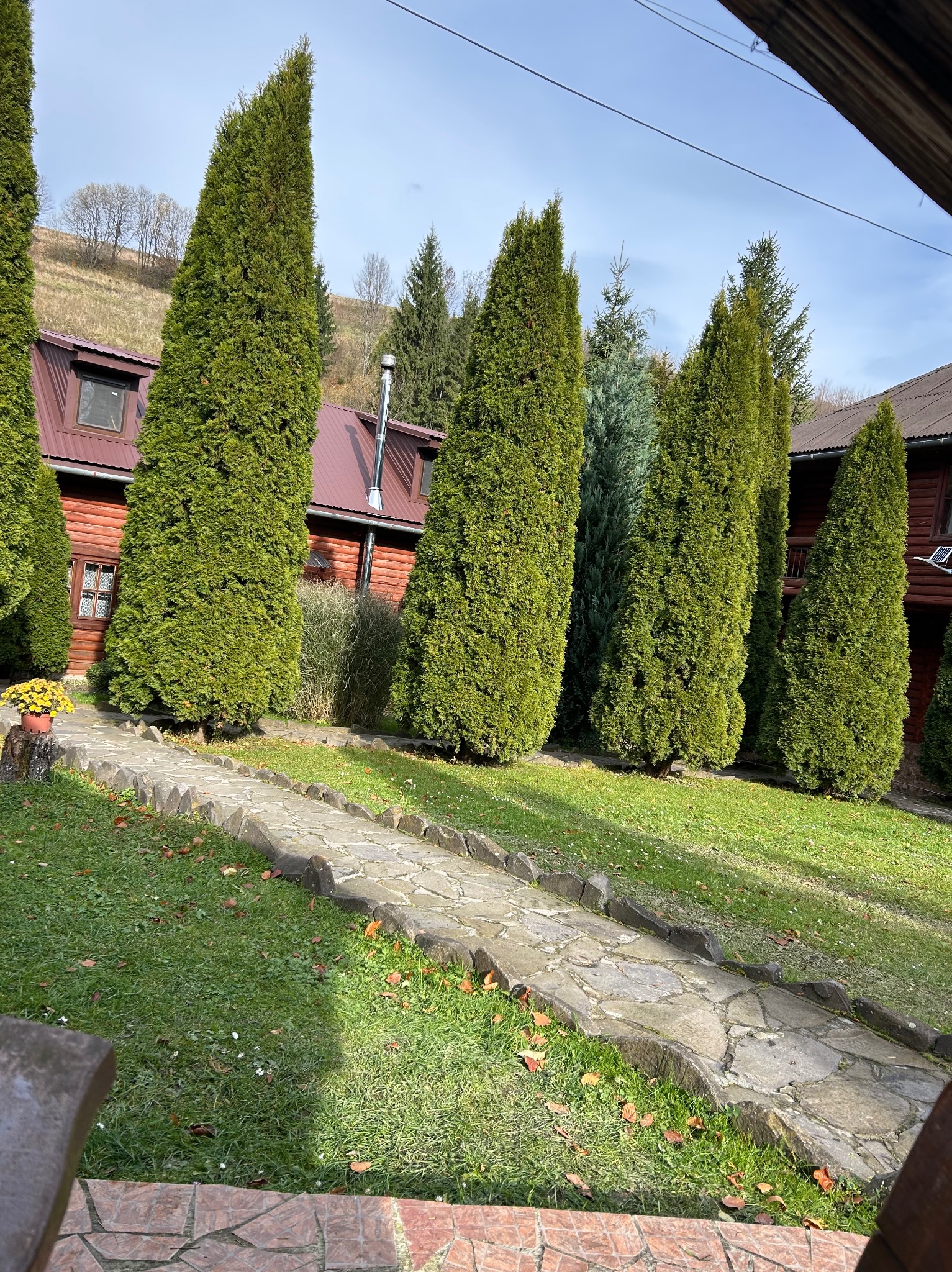 Urokliwy ogród z kamienną ścieżką, wysokimi tujami i drewnianym domem z czerwonym dachem w tle. Kwiaty w donicy dodają koloru.