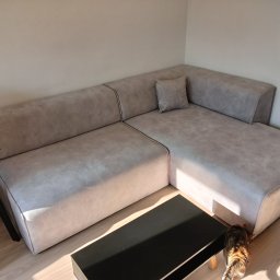 Tapicerstwo - Jasnoszara, narożna sofa z poduszką, oświetlona słońcem, z czarnym stolikiem kawowym i kotem w rogu, na drewnianej podłodze.