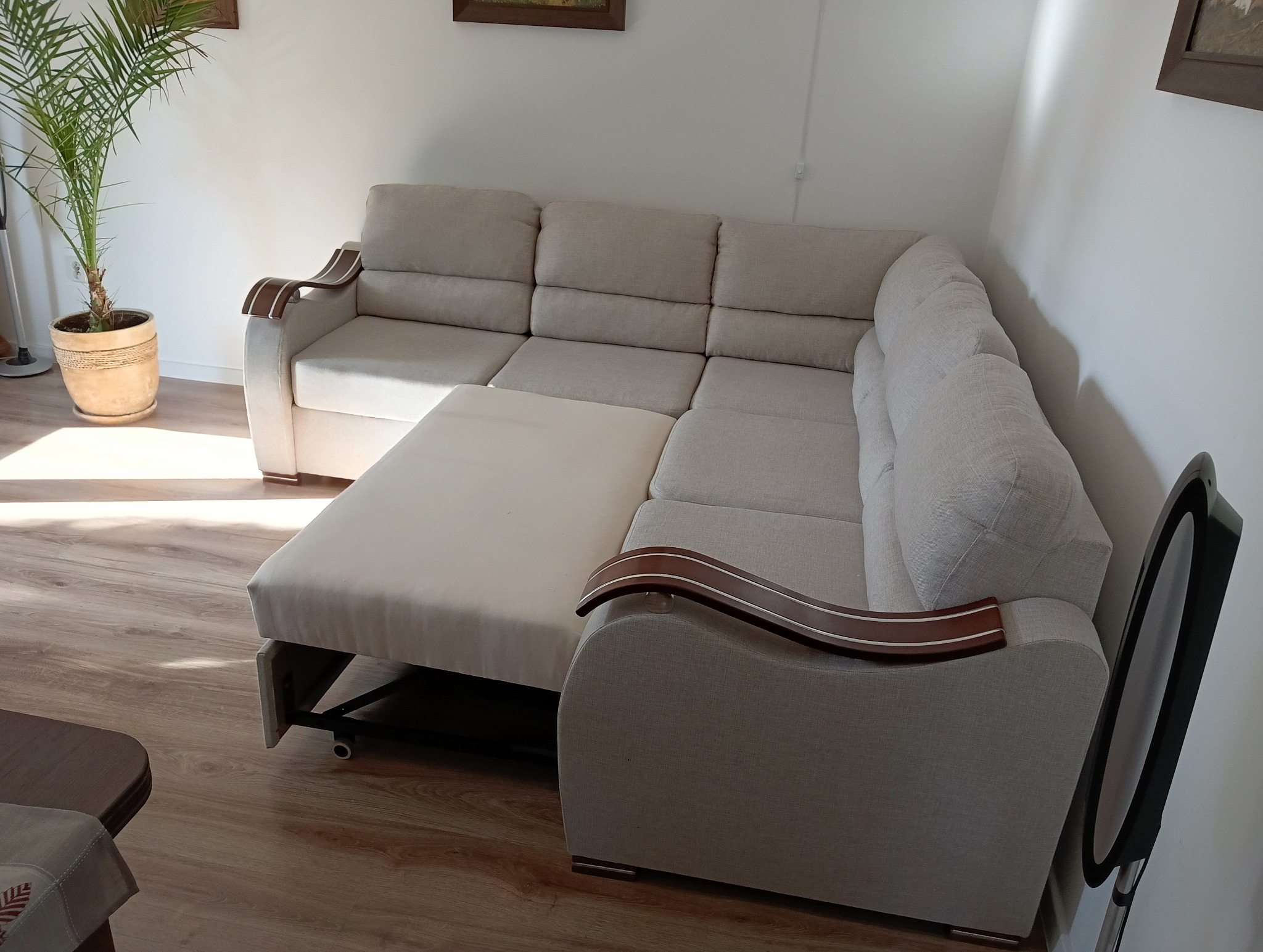 Jasny narożnik z funkcją spania i drewnianymi akcentami na podłokietnikach, w tle zielona roślina doniczkowa. Widoczne fragmenty podłogi i ściany.