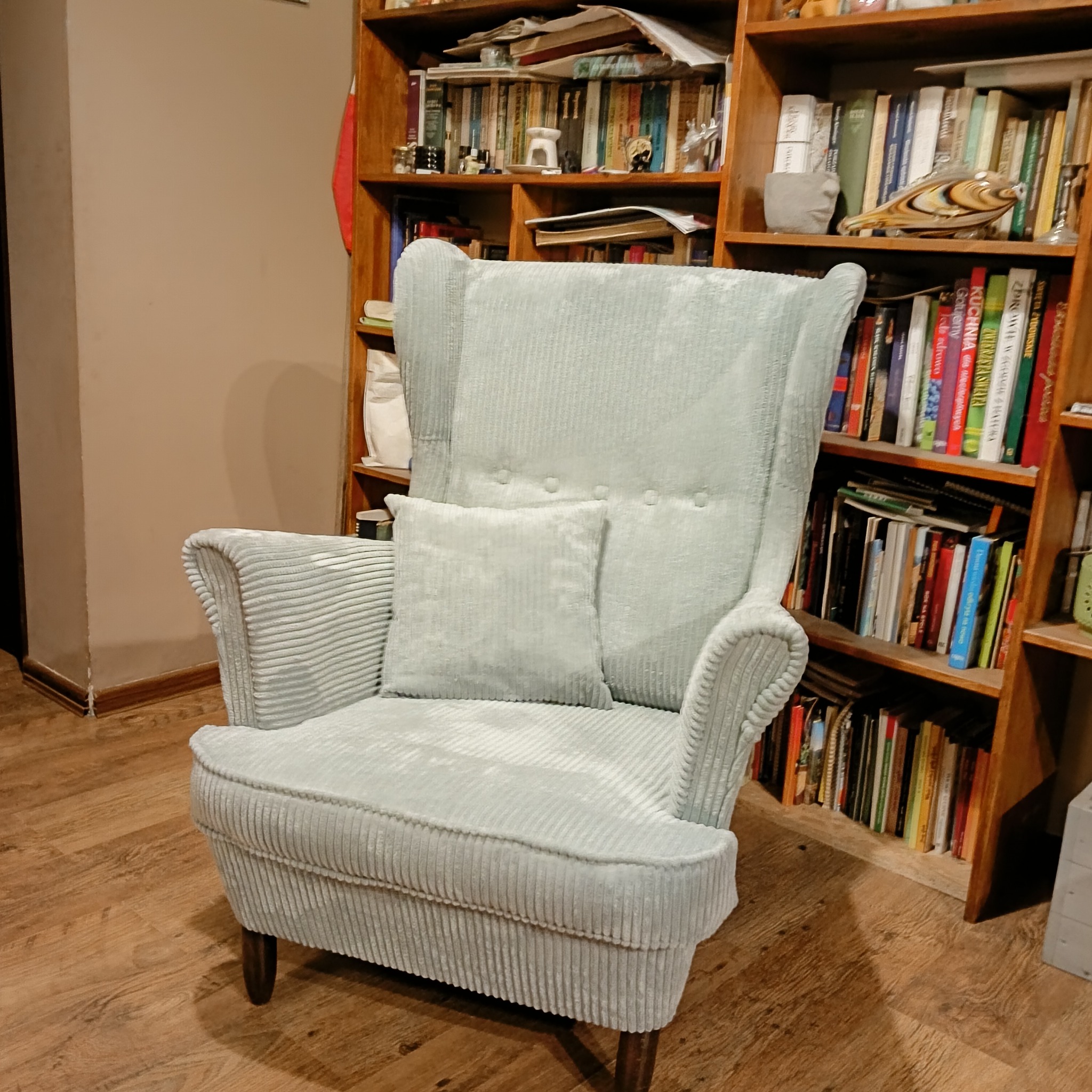 Fotel uszak w jasnokremowej, prążkowanej tapicerce z poduszką, na tle regału z książkami. Przytulne wnętrze.