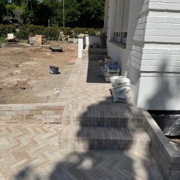 Wycinka drzew Tuczna 4