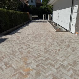 Wycinka drzew Tuczna 2