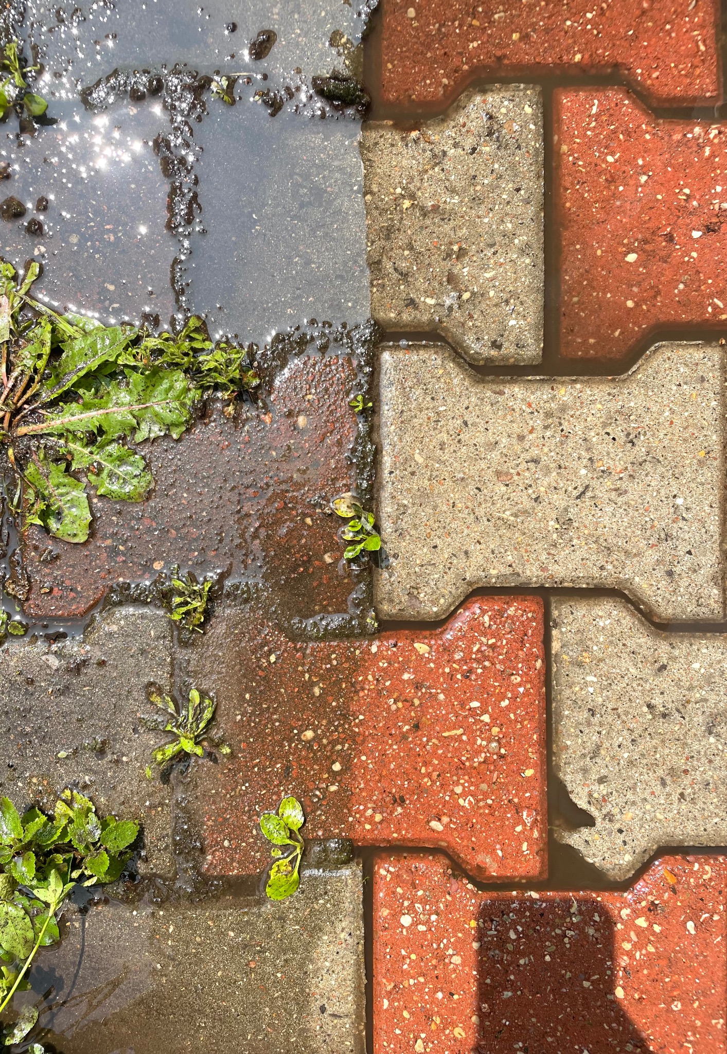 Mycie wysokociśnieniowe - efekty