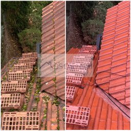 DS Dachbud - Daniel Sosiński - Zdjęcie dachu przed i po czyszczeniu, z widocznymi płytkami dachowymi i zielenią w tle. Po prawej stronie dach jest czysty, po lewej pokryty mchem i zabrudzeniami.