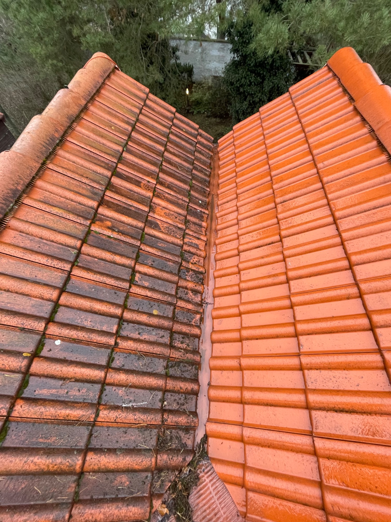 Częściowo wyczyszczony dach z czerwonej dachówki. Po lewej stronie widoczny brud i mech, po prawej czysta, lśniąca powierzchnia. Widok z góry, ukazujący efekt czyszczenia.