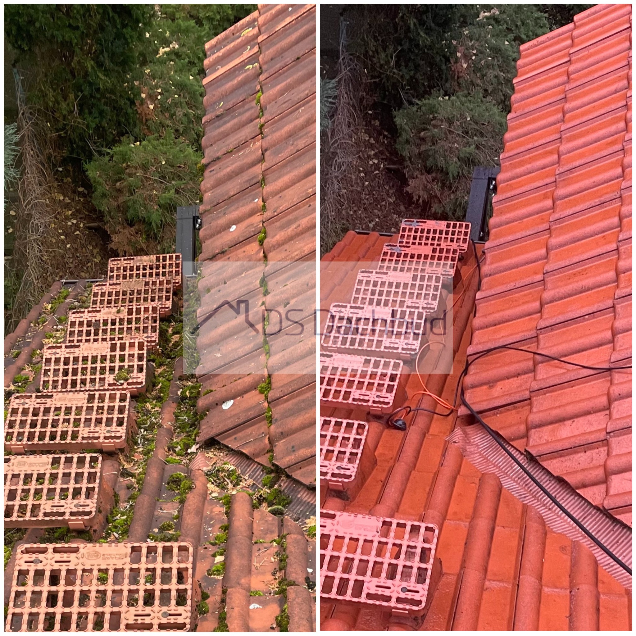 Zdjęcie dachu przed i po czyszczeniu, z widocznymi płytkami dachowymi i zielenią w tle. Po prawej stronie dach jest czysty, po lewej pokryty mchem i zabrudzeniami.