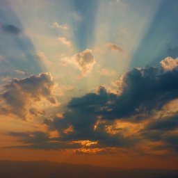 Growing Investment - Pergole Na Wymiar Ł&oacute;dź