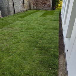 Niwelacja terenu Gdańsk 2