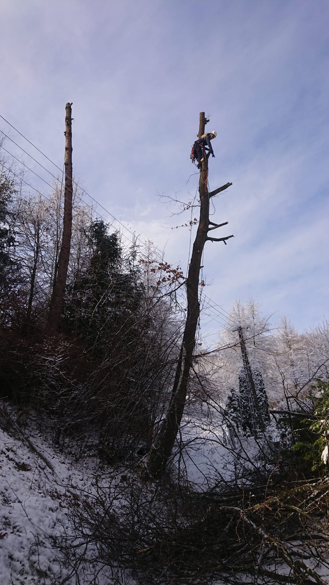 Arborysta w uprzęży, tnący konary drzewa na tle zimowego krajobrazu. Wokół leżą gałęzie, w tle widoczne inne drzewa i fragment nieba.