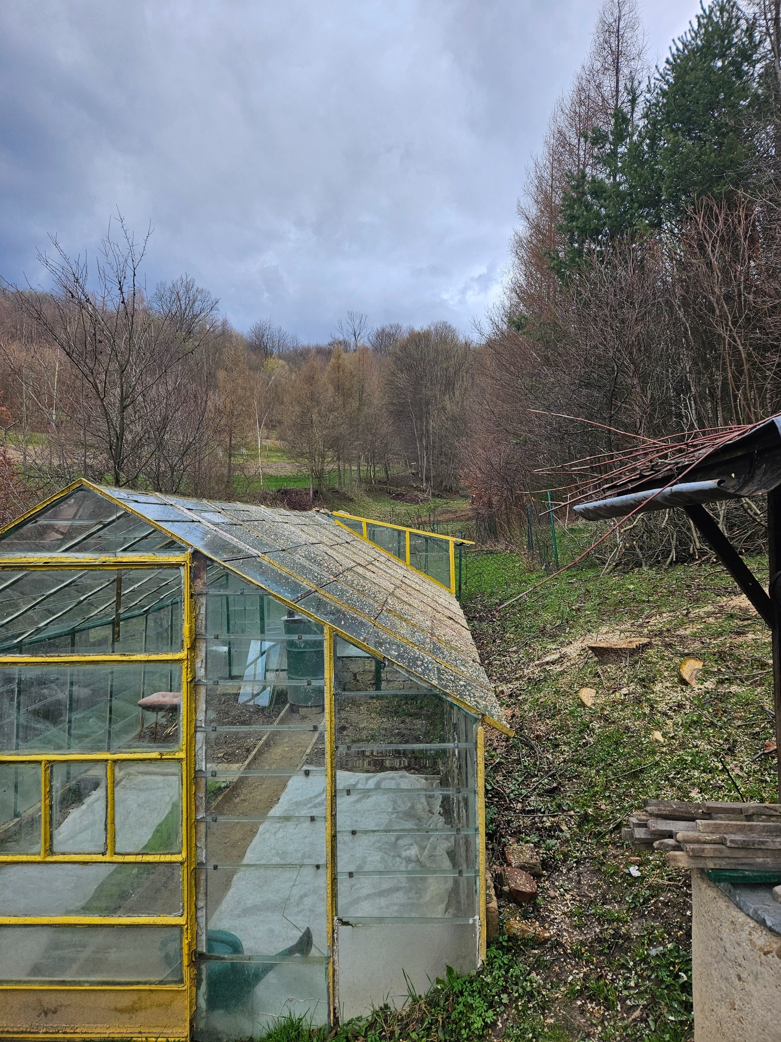 Wycinka drzew w Radoszycach. Świeżo ścięte pnie drzew widoczne obok żółtej szklarni. W tle zalesione wzgórze pod pochmurnym niebem.