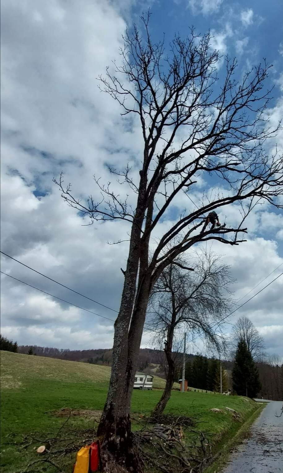 Arborysta w koronie drzewa bez liści, zabezpieczony linami, przycina gałęzie. U podnóża pnia leżą odcięte gałęzie i torby transportowe na narzędzia.
