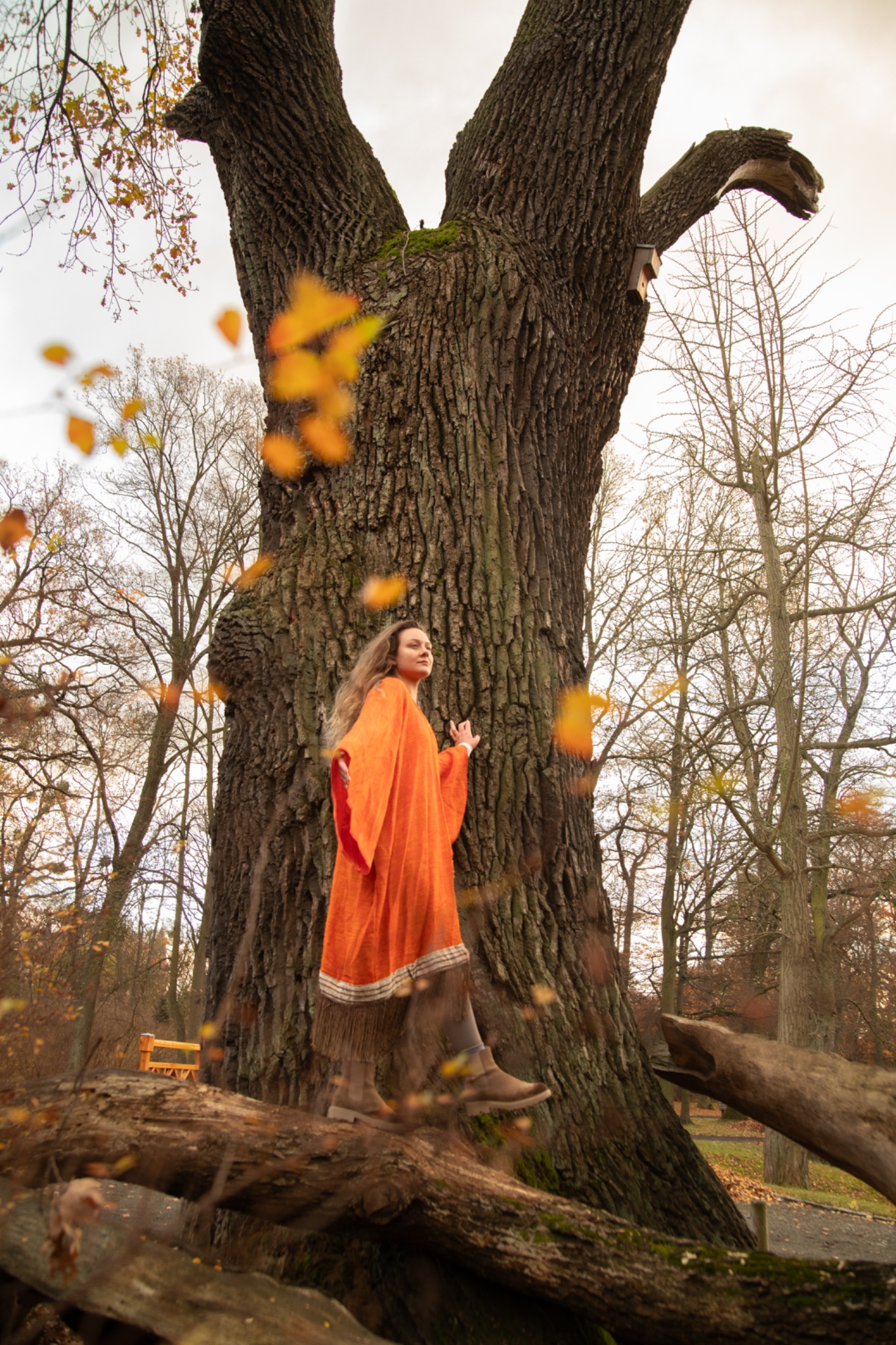Kobieta w pomarańczowej sukni pozuje przy starym dębie z budką dla ptaków. Jesienne liście opadają, tworząc malowniczy krajobraz w parku.