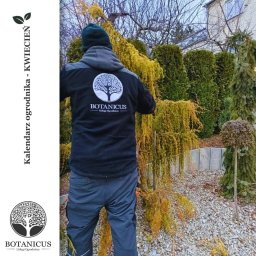 Botanicus Usługi Ogrodnicze Bartłomiej Korzeniowski - Ogród po przycięciu drzewa płaczącego. Ogrodnik w firmowej kurtce Botanicus. Tło: tuje i kamienna rabata. Widoczne opadłe gałęzie na ziemi.