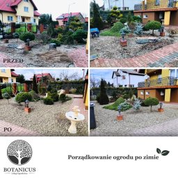 Botanicus Usługi Ogrodnicze Bartłomiej Korzeniowski - Kompaktowe ujęcie ogrodu przed i po pielęgnacji: uporządkowane rabaty z kamyków, formowane krzewy iglaste, schludny trawnik, dekoracyjne lampy ogrodowe.