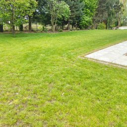 Botanicus Usługi Ogrodnicze Bartłomiej Korzeniowski - Zadbany trawnik z równo przystrzyżoną trawą, widok na drzewa i sprzęt ogrodniczy w oddali. Trawa intensywnie zielona, z widocznymi śladami koszenia.