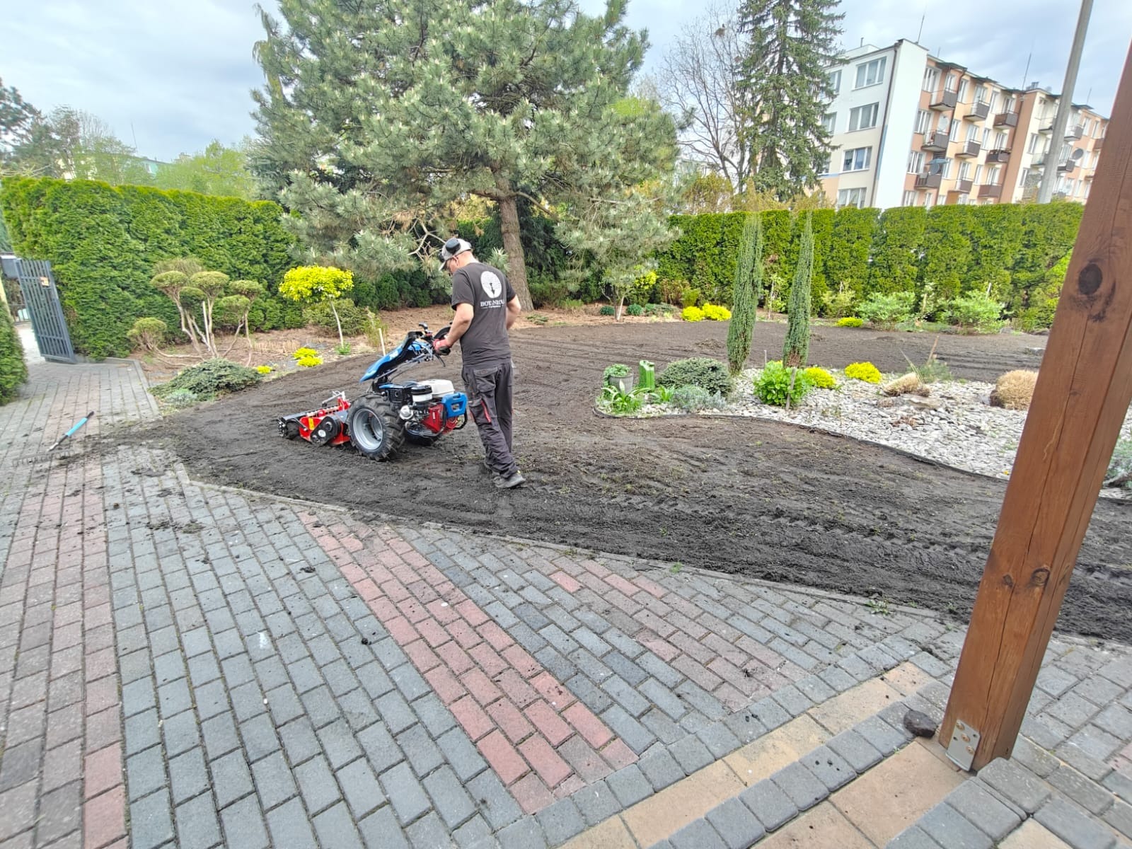 Mężczyzna z glebogryzarką spalinową przygotowuje ziemię pod trawnik w ogrodzie. W tle drzewa, krzewy i budynek mieszkalny. Obrzeże z kostki brukowej.