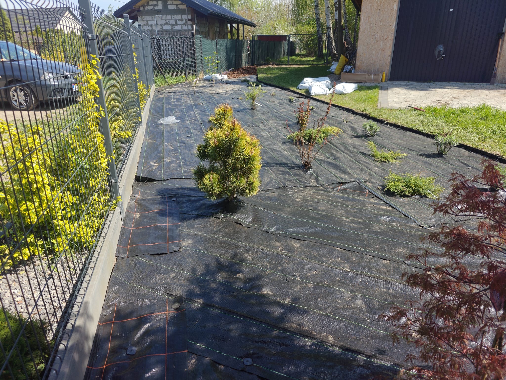 Etap zakładania ogrodu: rozłożona agrowłóknina z posadzonymi, młodymi roślinami iglastymi i liściastymi. W tle widoczne worki z ziemią i ogrodzenie.