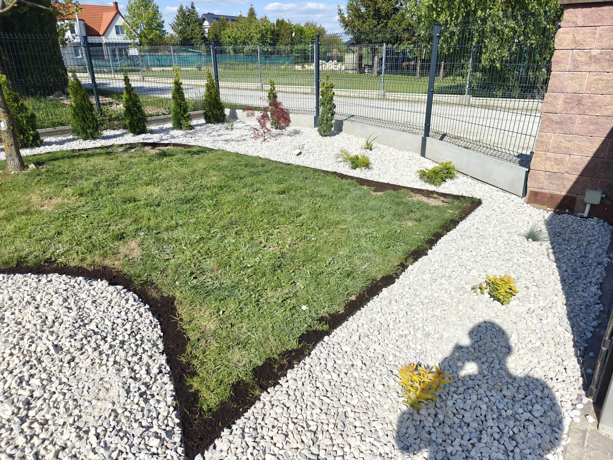 Świeżo założony ogród z trawnikiem, ścieżką z białego kamienia, obrzeżami z ziemi i młodymi drzewkami iglastymi wzdłuż ogrodzenia. Słoneczny dzień.