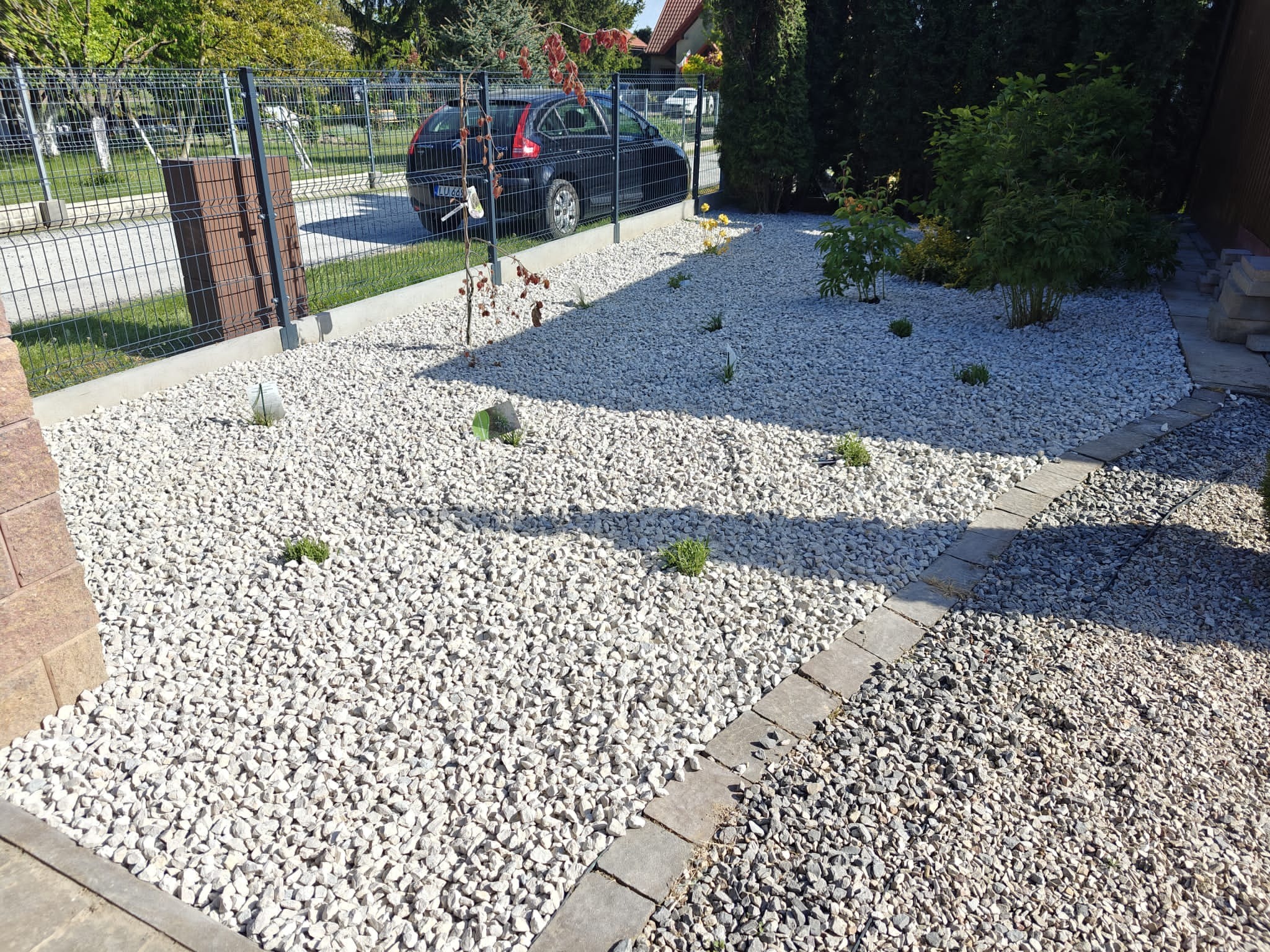 Białe kamienie ozdobne w ogrodzie z młodymi krzewami, obrzeżem z kostki i siatką ogrodzeniową w tle, oświetlone słońcem.