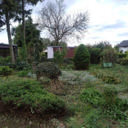 Sebastian Chlebowski - Firma Ogrodnicza Prabuty