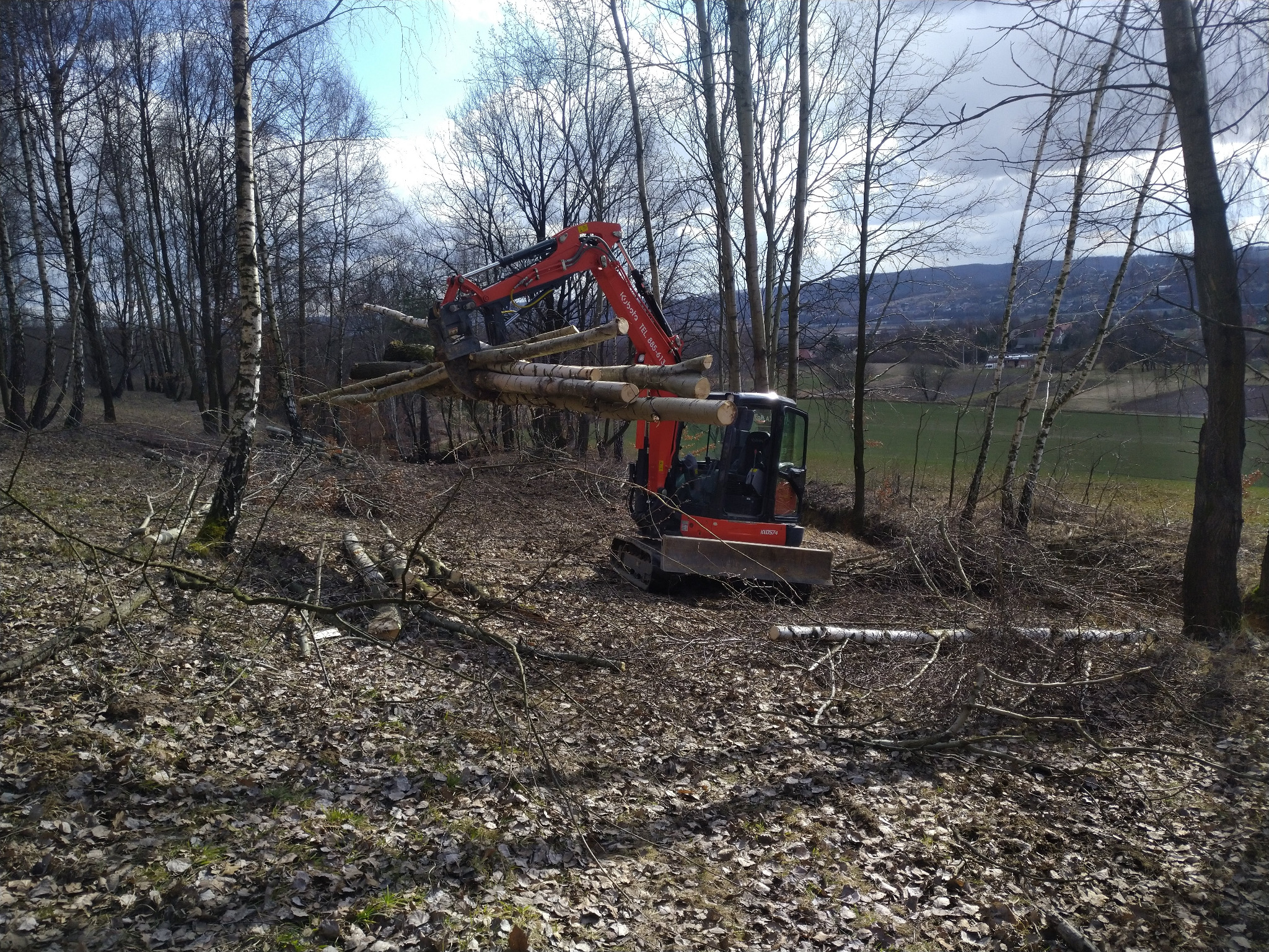 Czerwona minikoparka Kubota podnosi ścięte pnie drzew w lesie liściastym. W tle widoczne wzgórza i błękitne niebo.