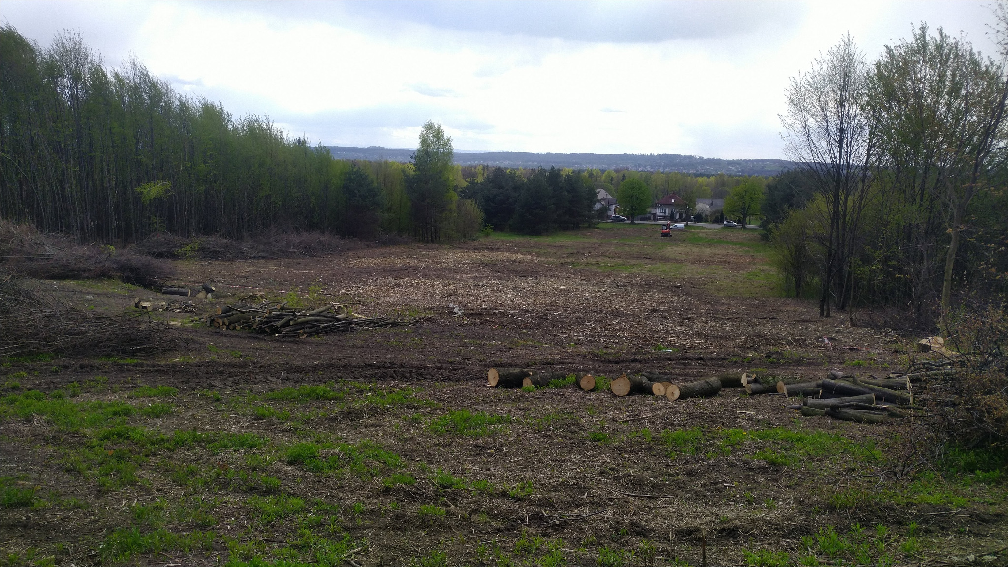 Teren po wycince drzew: pnie i gałęzie leżą na ziemi, w tle las i zabudowania. Widoczne ślady po maszynach. Pochmurne niebo.