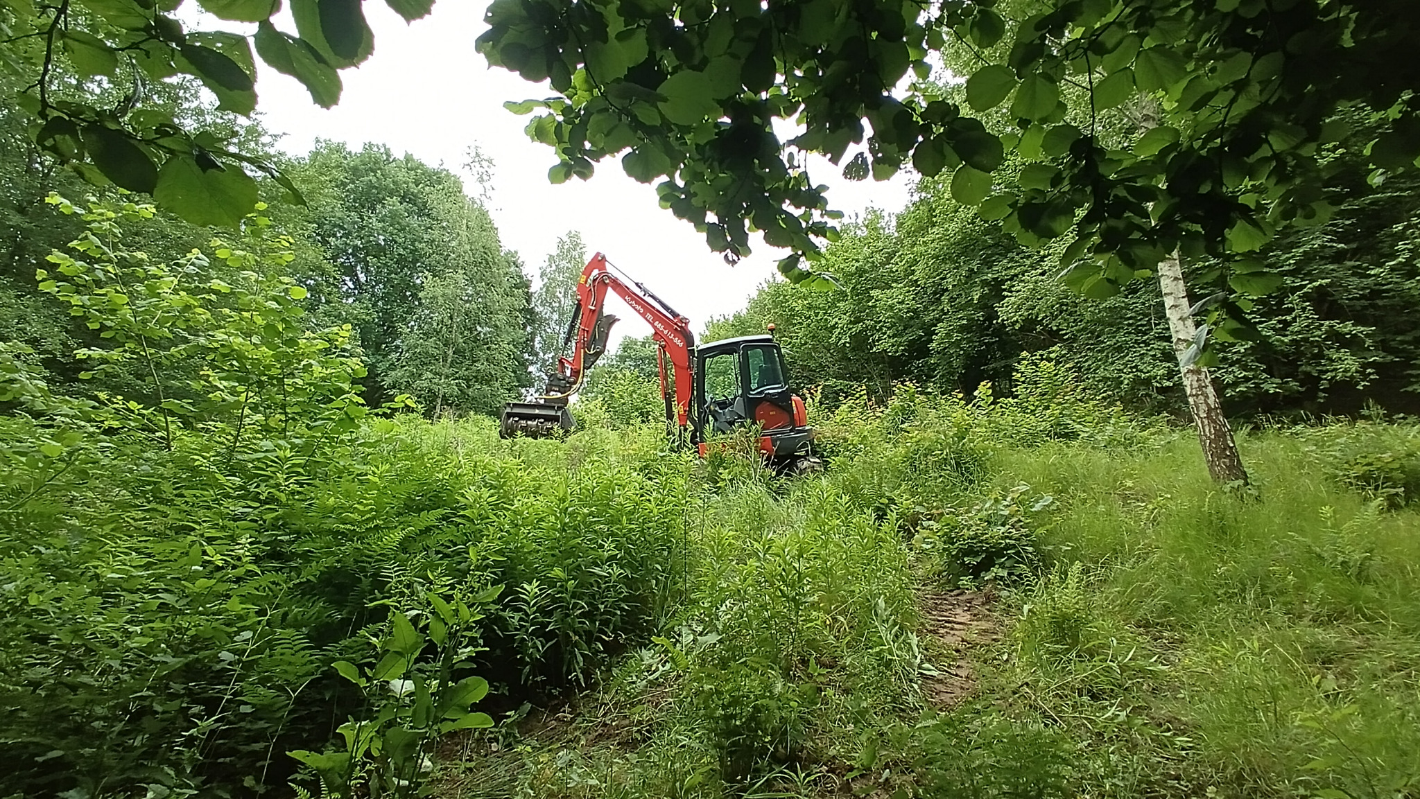 Czyszczenie działek ( Mulcher powierzchniowy ,wgłębny )