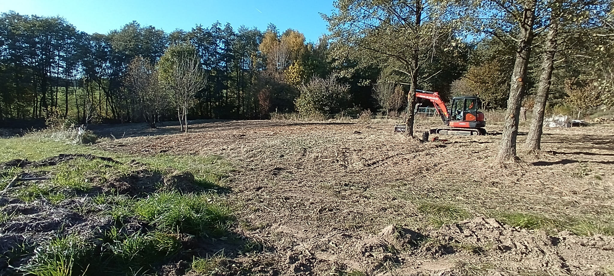 Czerwona mini koparka na przygotowanym terenie pod budowę, z wyciętymi drzewami. W tle las i błękitne niebo. Widoczne ślady po wycince i niwelacji.