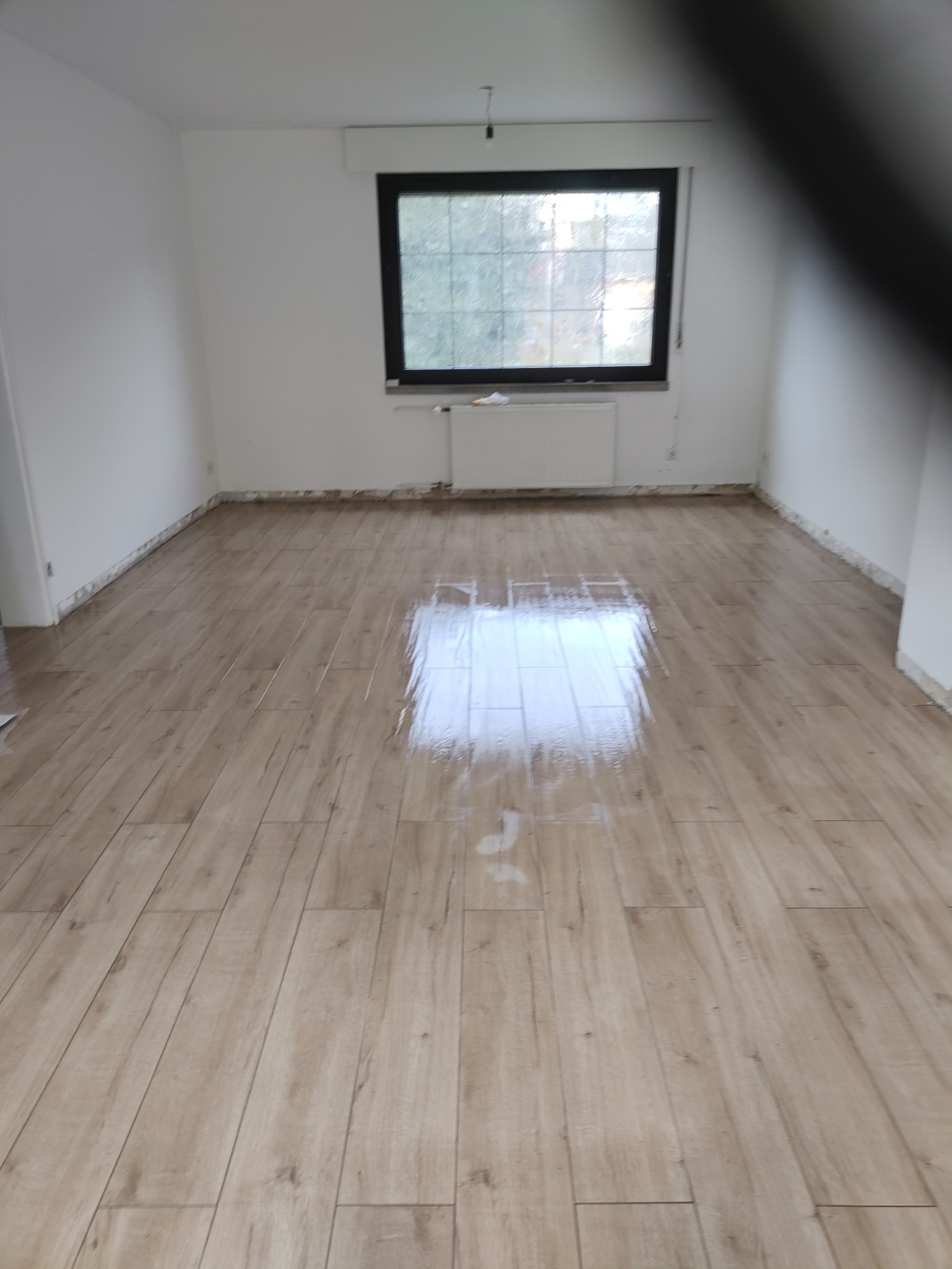 Jasne, drewnopodobne płytki podłogowe ułożone w pokoju z oknem. Świeżo położona podłoga, widoczne ślady po czyszczeniu. Białe ściany i grzejnik pod oknem.