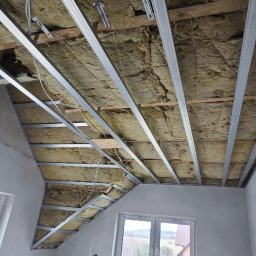 Koszenie trawy Kamienica 3