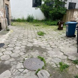 odchwaszczanie podwórka w kamienicy 