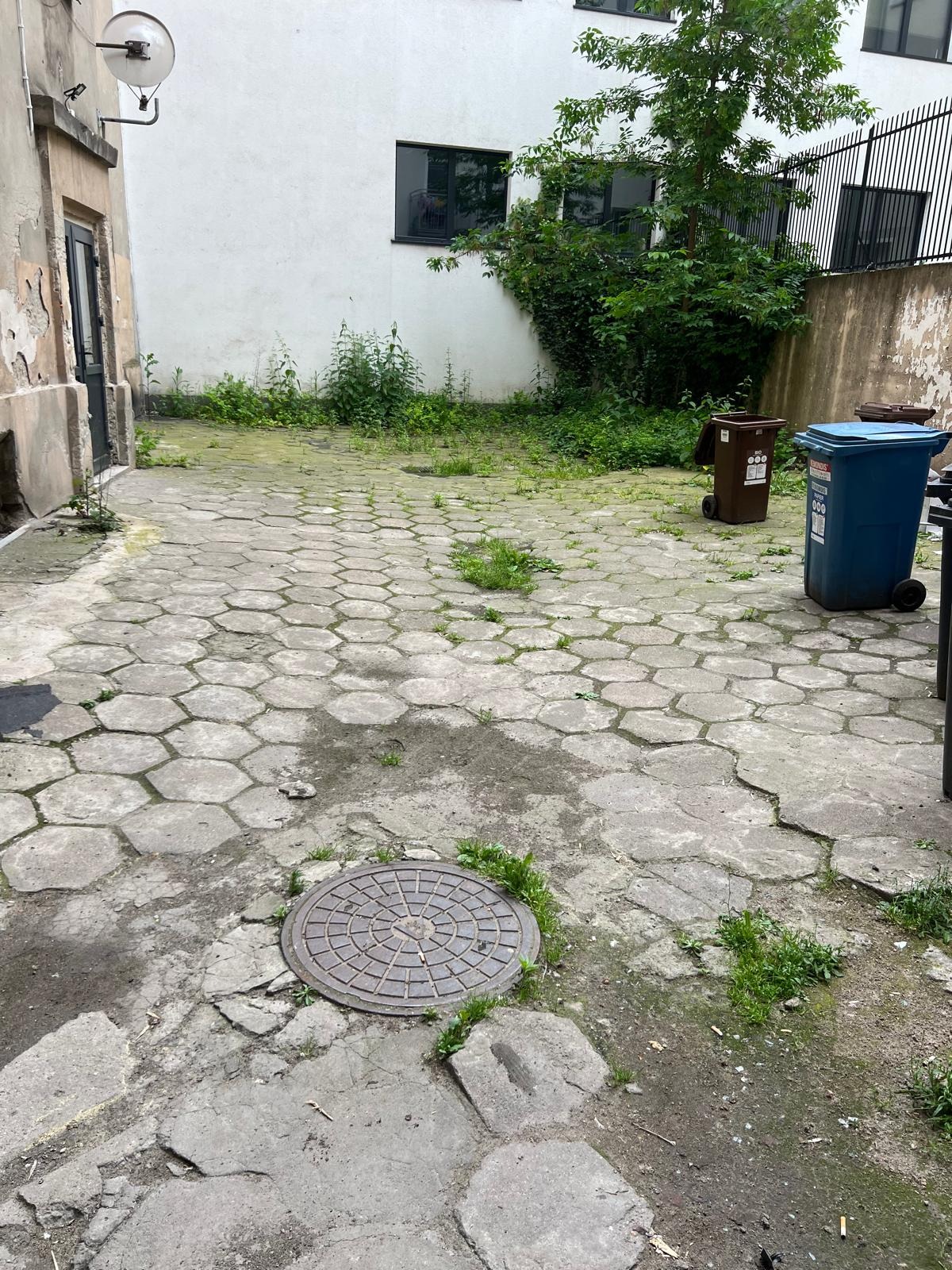 Zarośnięte chwastami podwórko z kostki betonowej w kamienicy, z widocznymi pojemnikami na śmieci i studzienką kanalizacyjną. W tle budynek z oknami i zielenią.