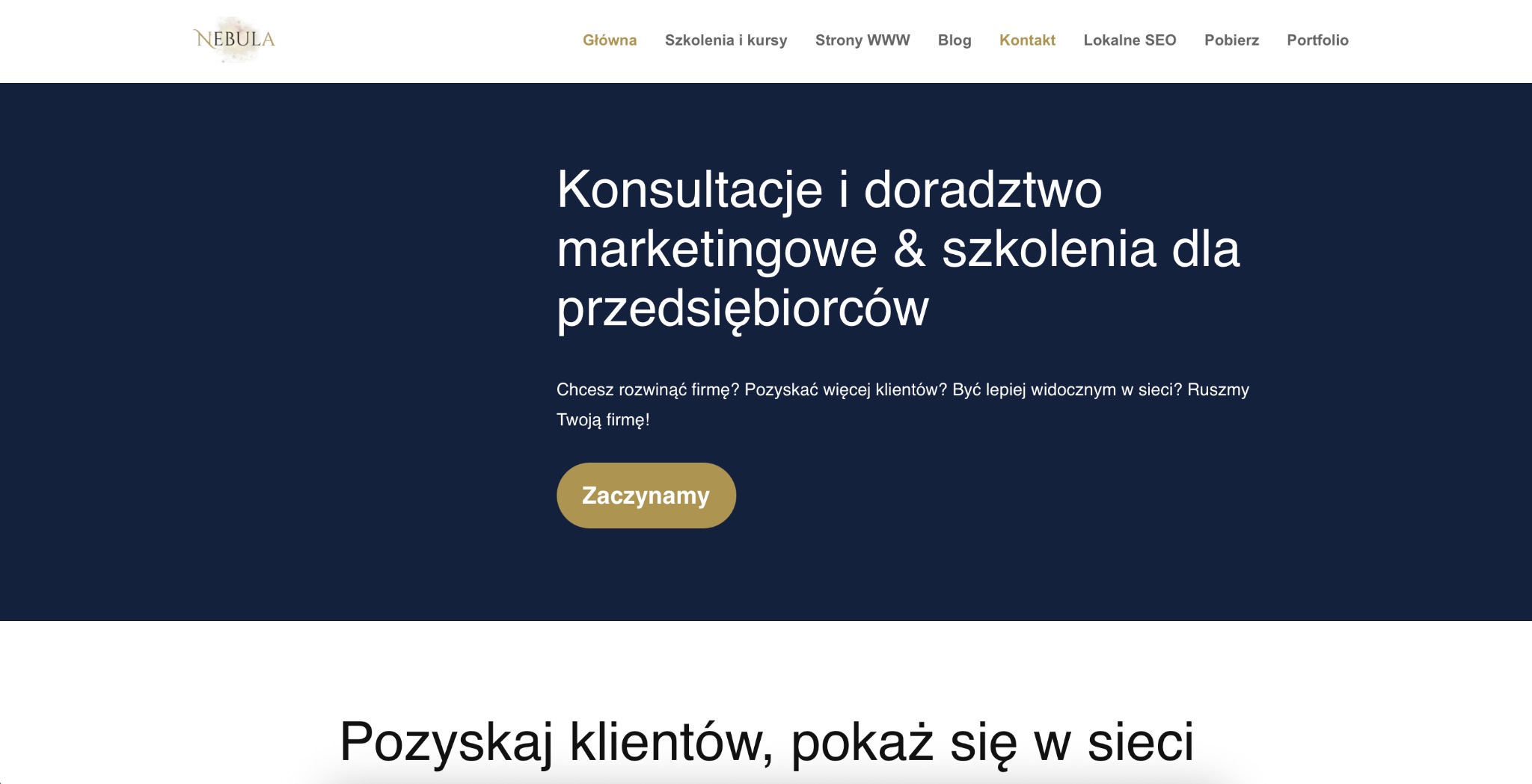 Strona internetowa z tekstem: Konsultacje i doradztwo marketingowe & szkolenia dla przedsiębiorców. Przycisk 'Zaczynamy' i hasło: Pozyskaj klientów, pokaż się w sieci.