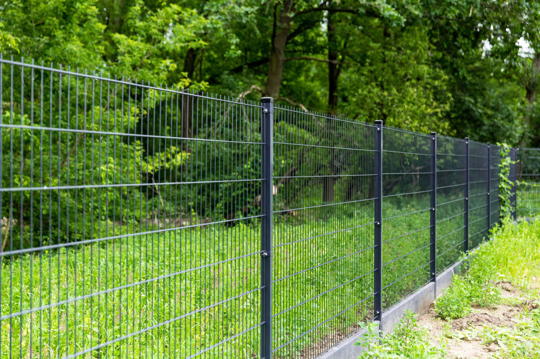 Ciemnoszare ogrodzenie panelowe z podmurówką na tle zieleni. Widoczne słupki mocujące i siatka ogrodzeniowa. Oświetlenie naturalne, słoneczny dzień.