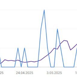 Pozycjonowanie stron Piotrków Trybunalski 2