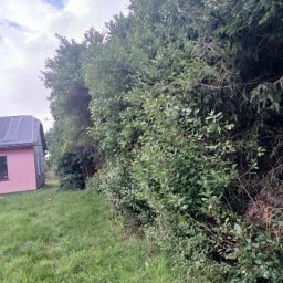 Sztuka ogrodu - Pierwszorzędny Architekt Ogrodów Gryfice