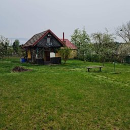 Wycinka drzew Gryfice 4