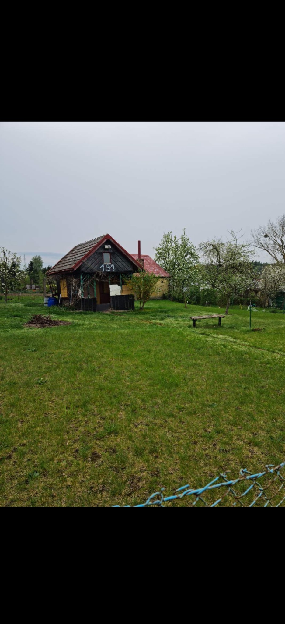 Mały domek z numerem 131 otoczony zielonym trawnikiem i kwitnącymi drzewami owocowymi, widoczny zza niebieskiego ogrodzenia.