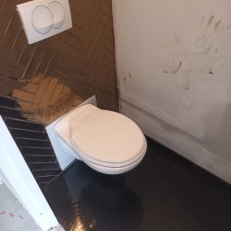Spid bud - Nowoczesna toaleta z błyszczącą, ciemną podłogą i ścianą w brązową jodełkę. Biały przycisk spłuczki na ścianie. Częściowo wykończona ściana po prawej.