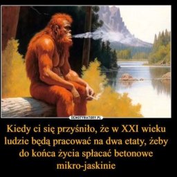 ŚwiadoMix Andrii Sezonenko - Stolarz Stare Babice